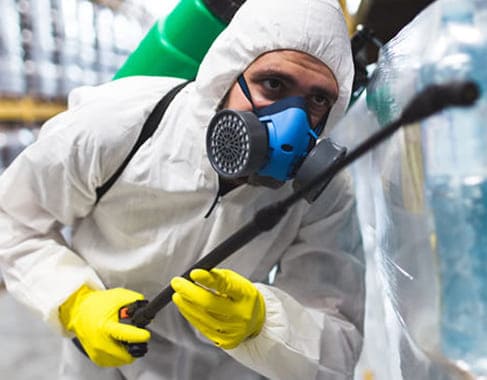 Dedetizadora – Livre-se das pragas hoje